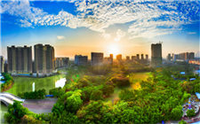 港北區(qū)：特色產(chǎn)業(yè)鏈點(diǎn)燃新質(zhì)生產(chǎn)力引擎