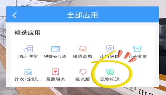 寵物貓狗能坐高鐵啦！