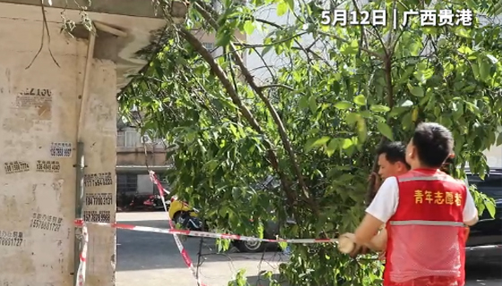 社區(qū)樹(shù)木倒塌成“攔路虎”，消防、社區(qū)、志愿者聯(lián)合行動(dòng)除隱患