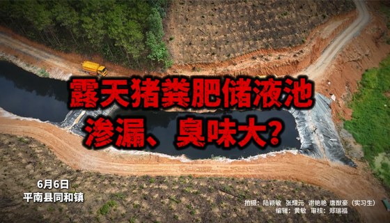 露天豬糞肥儲(chǔ)液池滲漏、臭味大？