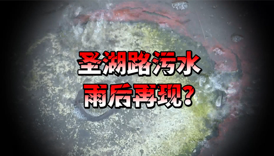 圣湖路污水雨后再現(xiàn)？